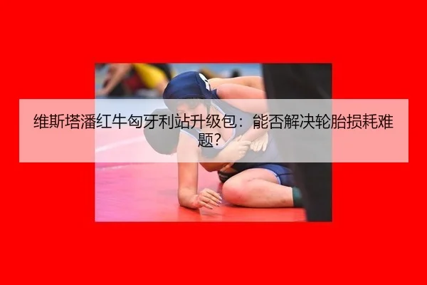 维斯塔潘红牛匈牙利站升级包：能否解决轮胎损耗难题？